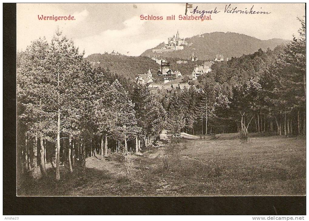 440. Germany Wernigerode - Schloss Mit Salzbergtal - Fr. Gottsched, Wernigerode - Druck V Louis Koch, Halberstadt - Wernigerode