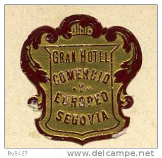 * SEGOVIA-Plaza Sz La Constitucion-1913(Voir Au Dos: GRAN HOTEL COMMERCIO Y EUROPEO SEGOVIA) - Segovia