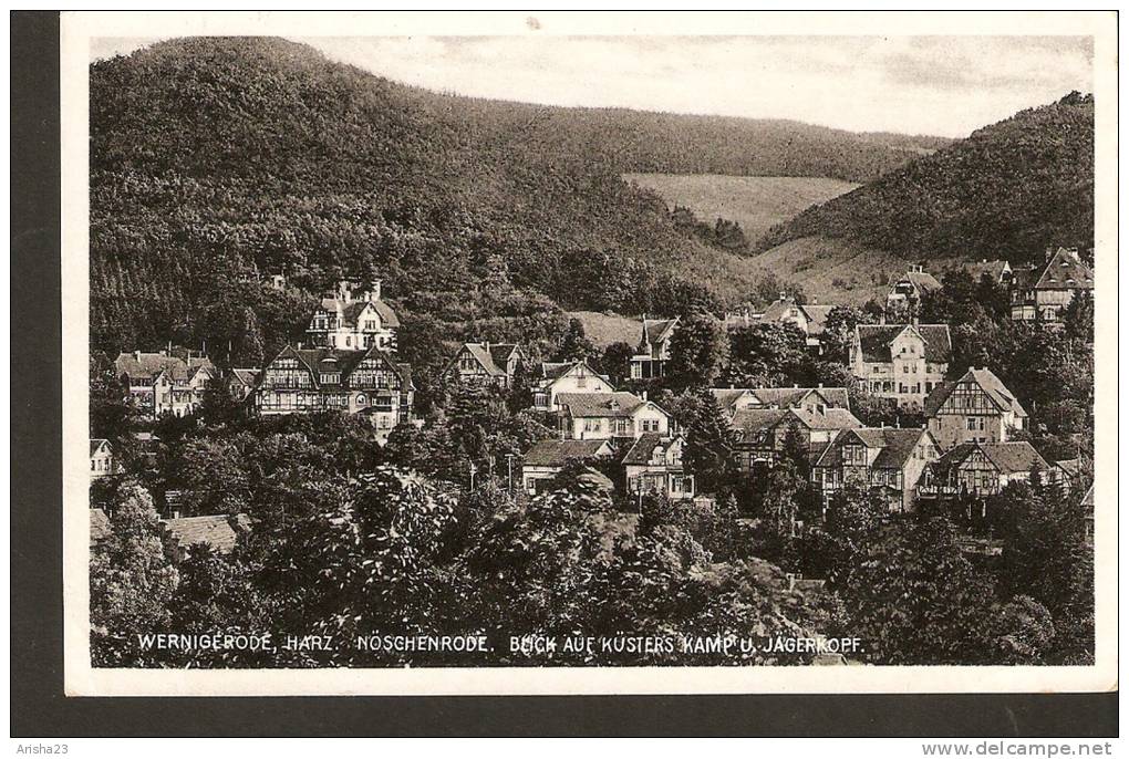 440. Germany Wenigerode Harz . Nonschenrode . Blick Auf Kusters Kamp U. Jagerkopf  - Passed Post In 1941 - L. Glaser - Wernigerode