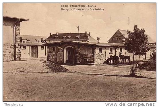 CAMP D'ELSENBORN ECURIES ** KAMP TE ELSENBORN PAARDESTALLEN - Elsenborn (Kamp)