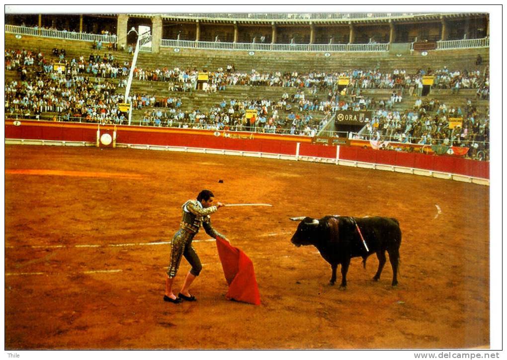 PALMA DE MALLORCA - Plaza De Toros - Corrida - Palma De Mallorca