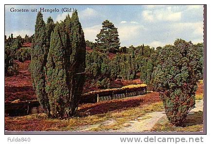 CPSM.       GROETEN UIT HENGELO.    1961. - Hengelo (Ov)