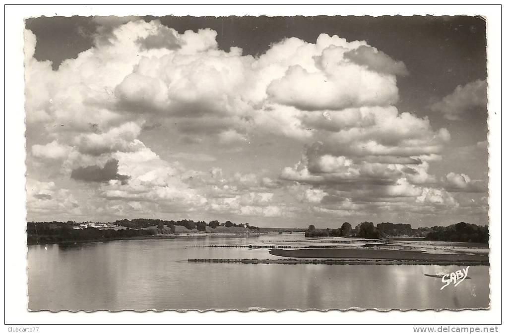 Ancenis (44) : Les Bords De La Loire En 1954. - Ancenis