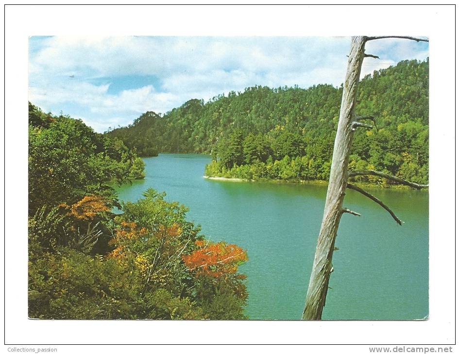 Cp, Japon, Paysage Au Fil De L'eau - Andere & Zonder Classificatie