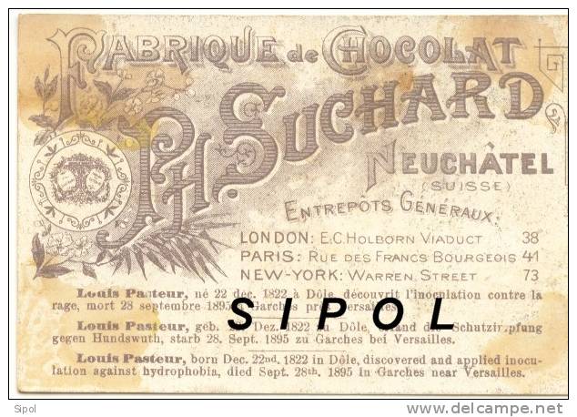 Chromo Ph.Suchard  Neuchatel  Louis Pasteur - Suchard