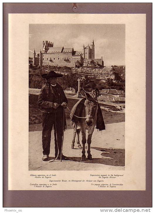 SPAIN - Segovia - Aldeano Segoviano, Segovianian Peasont, Donkey, Image Glued To Cardboard, Year About 1930 - Artis Historia