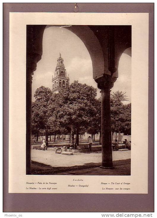 SPAIN - Cordoba - Mezquita, Patio De Las Naranjas, Mosque,  Image Glued To Cardboard, Year About 1930 - Artis Historia