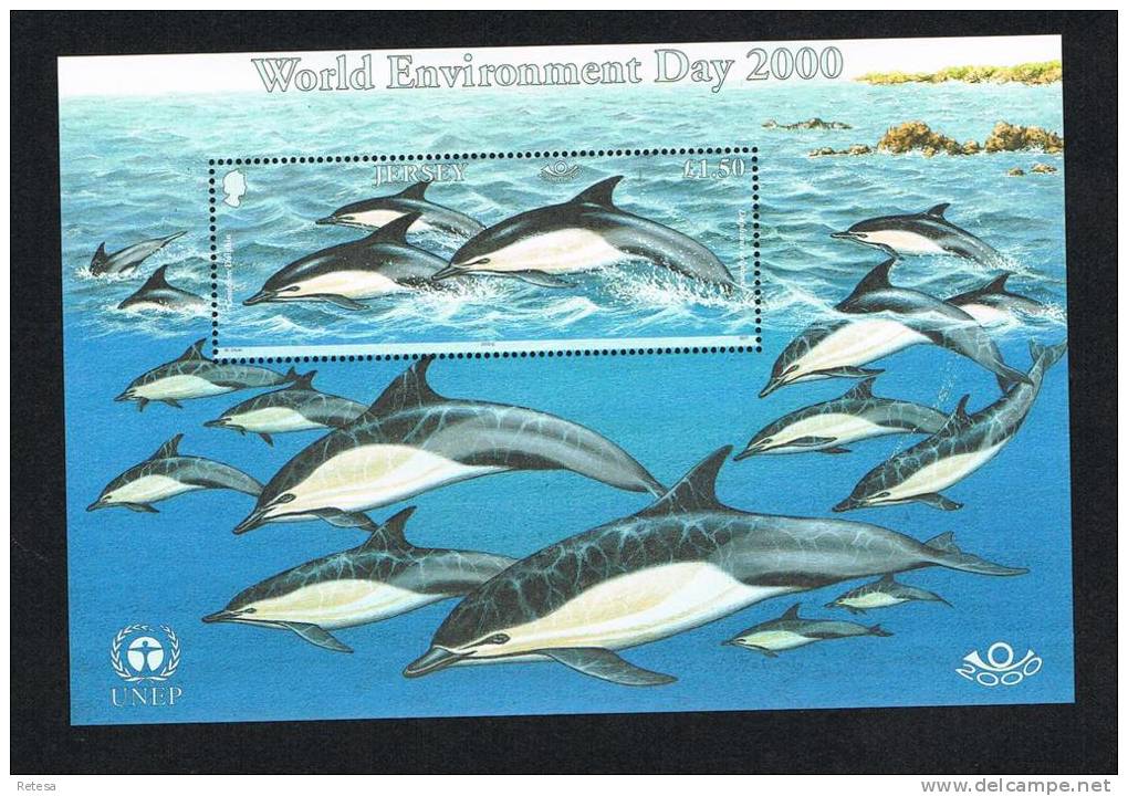 JERSEY   BLOK  DOLFIJNEN  2000 ** - Dolphins