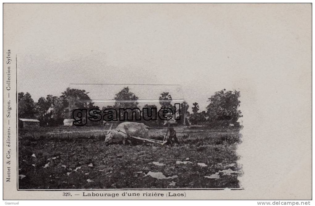Asie - Laos. - Labourage D'une Rizière. - Mottet &amp; Cie, éditeur. - Saïgon. - Collection Sylvia. (voir Scan Recto-ver - Laos
