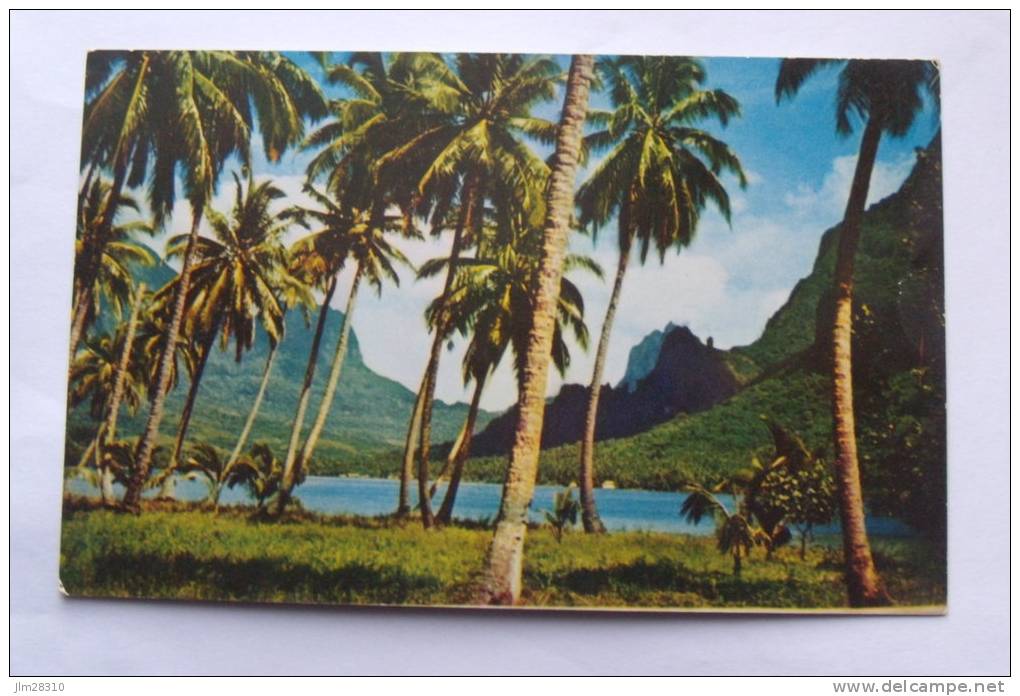 Tahiti - Moorea Bay - C8275 - Polinesia Francese