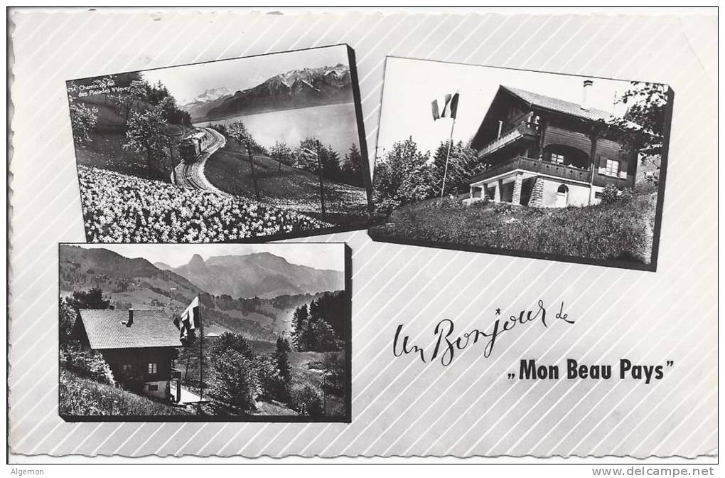 3120 - Ondallaz S/Blonay " Mon Beau Pays " (Commune De Renens) - Renens