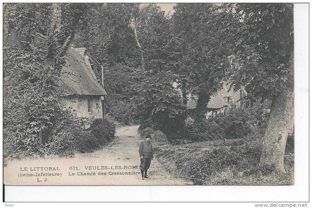 VEULES LES ROSES - Le Chemin Des Cressonnière - Veules Les Roses