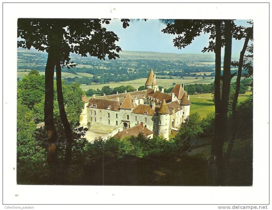 Cp, 58, Bazoches-du-Morvand, Le Château - Bazoches