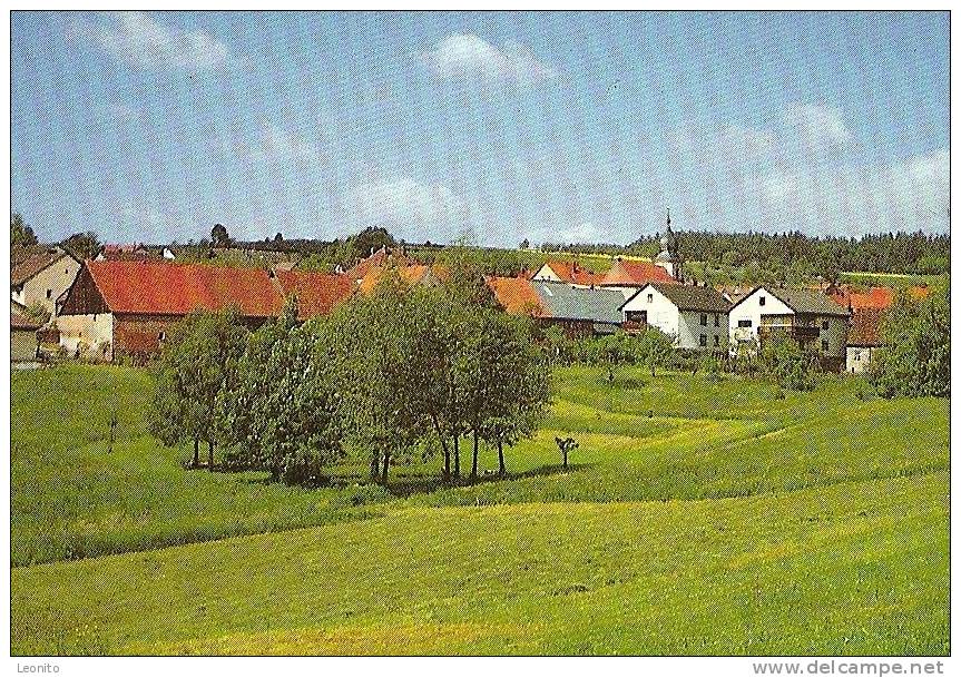 Gruss Aus WALDFENSTER Rhön Bad Kissingen 1989 - Bad Kissingen