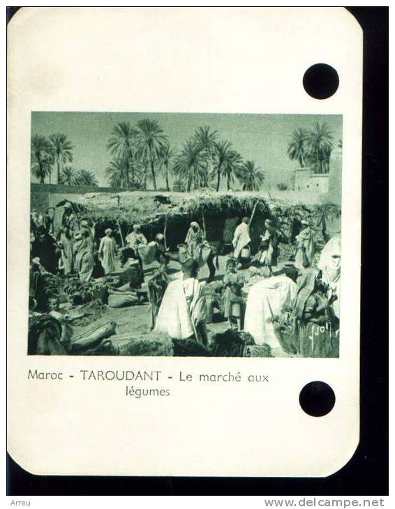 De 1955 - Maroc - Taroudant, Le Marché Aux Légumes - - Autres & Non Classés