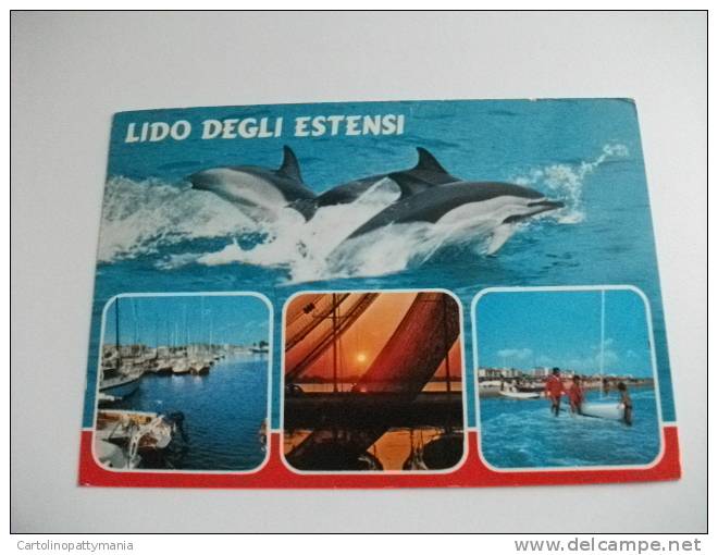 Delfini Lido Degli Estensi - Delfines