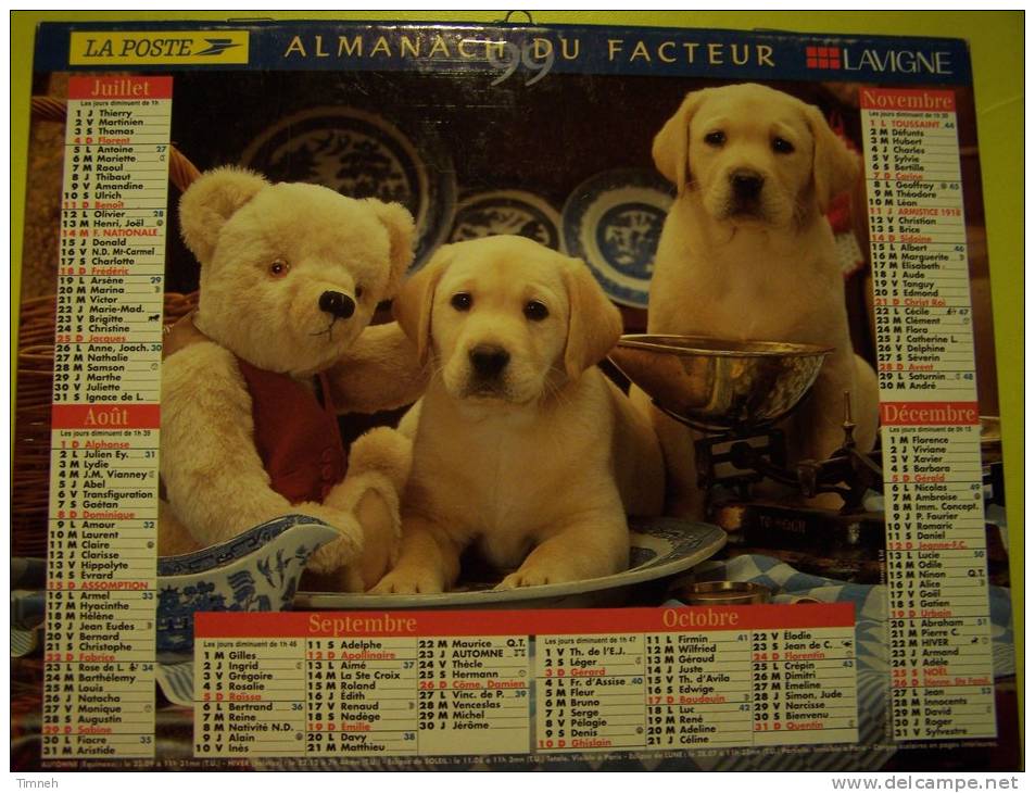 Almanach Du Facteur 1999 - Labradors Chiots Chatons Tigrés Chat  - LAVIGNE - LA POSTE Sans Département - - Grand Format : 1991-00