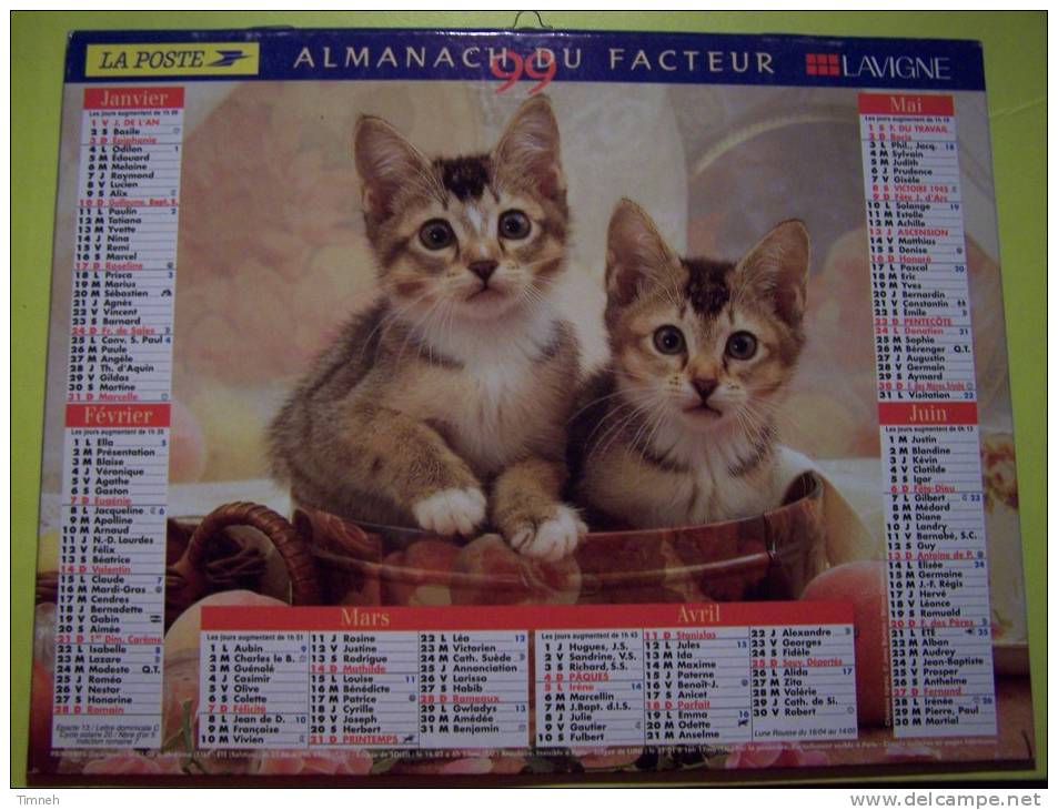 Almanach Du Facteur 1999 - Labradors Chiots Chatons Tigrés Chat  - LAVIGNE - LA POSTE Sans Département - - Tamaño Grande : 1991-00