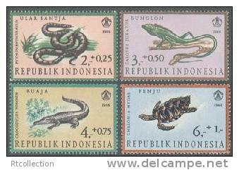 Indonesia 1966 Reptiles Reptile Bloodsucker Crocodile Turtle Animals Fauna Animal MNH Michel 558-561 Scott B203-B206 - Schildkröten