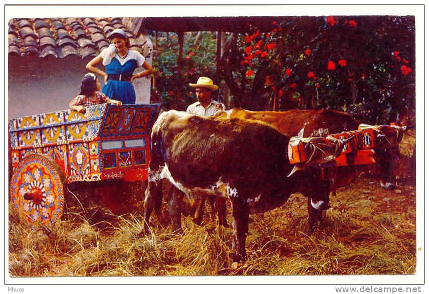 C. RICA-2   : Typical Gaily Painted Oxcart - Costa Rica