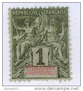 Colonies Françaises - NOUVELLE CALEDONIE - N°41 - 1892 - Oblitérés