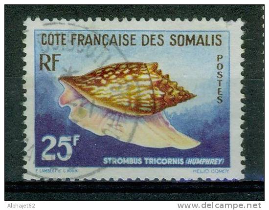 Coquillage - COTE FRANCAISE DES SOMALIS - Strombus Tricornis - N° 313 - 1958 - Oblitérés