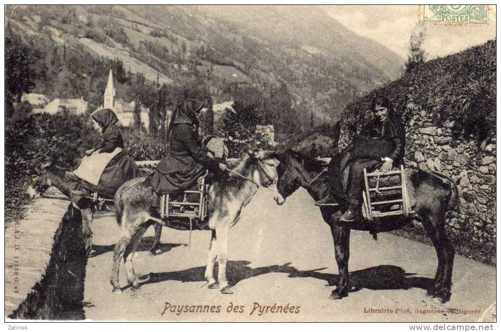 Pyrénées - Anes - Folklore - Régions Bagnère - - Otros