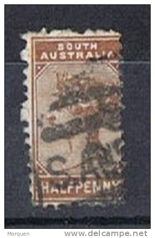 Sello 1/2 Penny Castaño AUSTRALIA Del SUR 1893. Dto. 15.  Yvert Num 59 º - Gebraucht