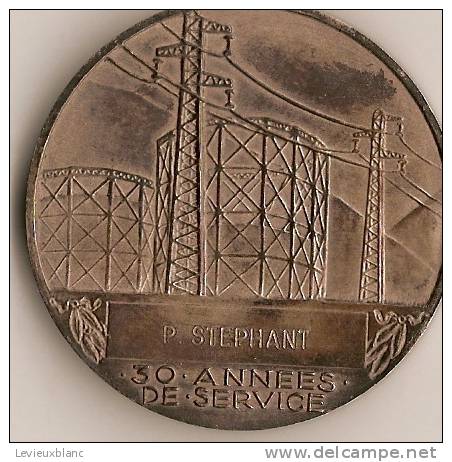 Médaille/Electricité De France Et Gaz De France/ Modéle Argent/vers 1950-1960                D14 - Autres & Non Classés