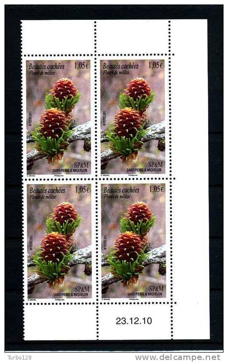 SPM MIQUELON 2011 N° 994 ** Bloc De 4 Coin Daté  Neufs MNH Superbe Flore Fleurs Mélèze Flora Flowers - Neufs