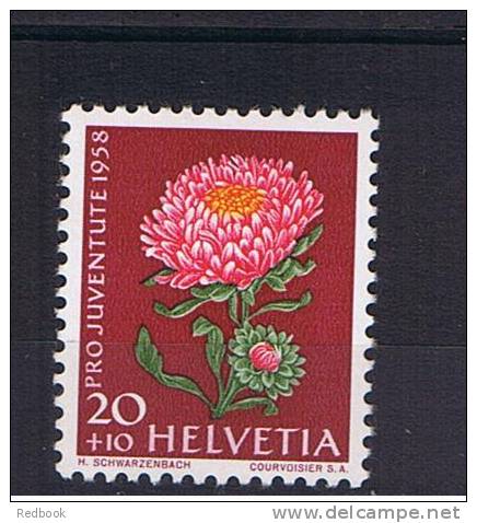 RB 827 - Switzerland 1958 Pro Juventute - 20c + 10c Chinese Aster - MNH Stamp SG J174 - Flower Theme - Unused Stamps