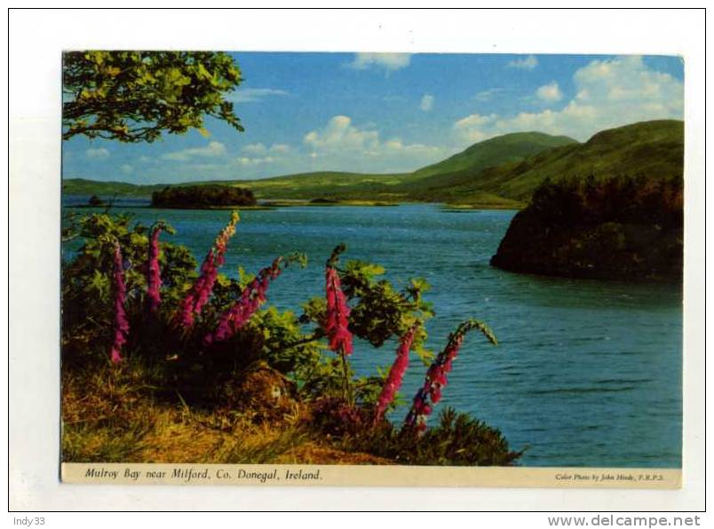 - IRLANDE CO. DONEGAL . MULROY BAY NEAR MILFORD . - Donegal