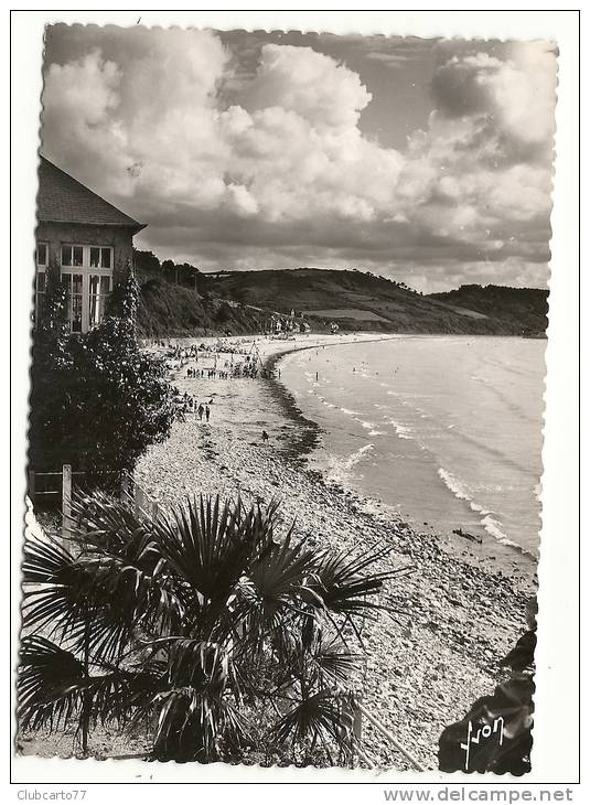 Saint-Michel-en-Grève (22) : Vue Générale De La Plage  Prise D'une Habitation  En 1950 (animé) PHOTO VERITABLE . - Saint-Michel-en-Grève