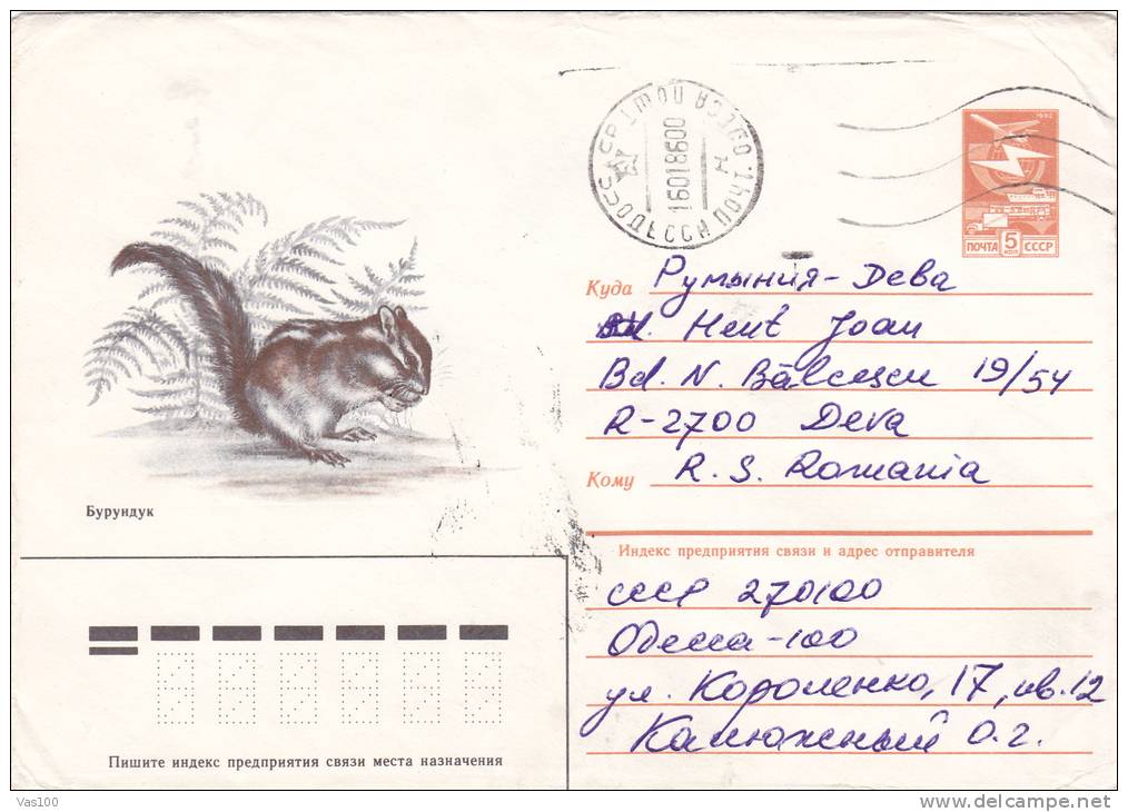 ANIMAL RODENTS,Squirrel,écureuil, 1985  AIRMAIL COVER STATIONERY ENTIER POSTAL RUSSIA. - Rodents