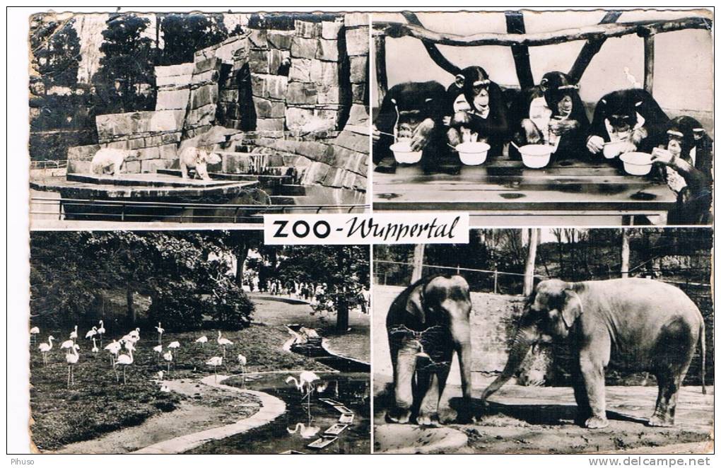 D2609    WUPPERTAL : Zoo - Wuppertal