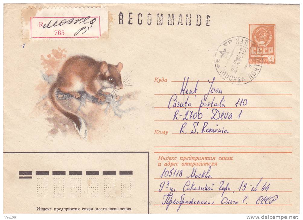ANIMAL RODENTS,SHREW, 1980  REGISTRED COVER STATIONERY ENTIER POSTAL RUSSIA. - Rodents
