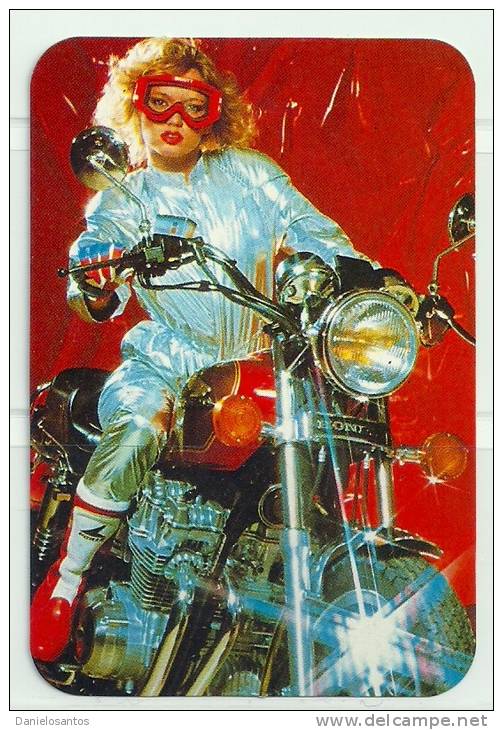 1987 Pocket Poche Bolsillo Calender Calandrier Calendario  Motorbikes Motorcycles Motos Honda - Big : 1981-90