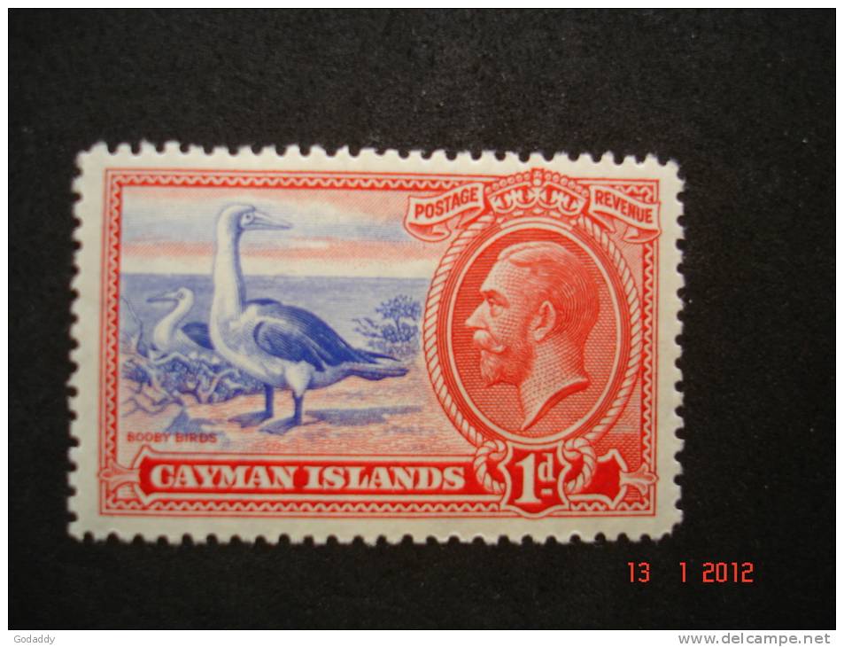 Cayman Is. 1935  K. George V   Booby Bird  1d     SG98   MH - Iles Caïmans