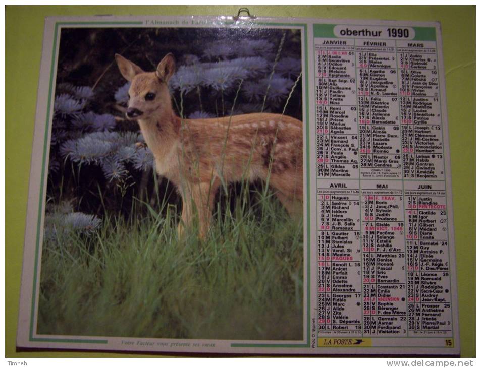 Almanach Du Facteur 1990 FAON BICHE CERF - Vosges N°88  OBERTHUR  - LA POSTE - Grand Format : 1991-00