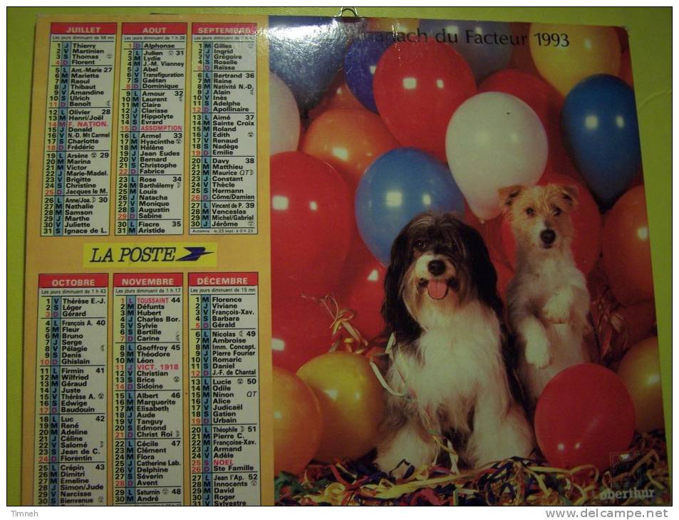 Almanach Du Facteur 1993 Chat Chaton Fleurs Chiens Ballons- MEURTHE ET MOSELLE  N°54  OBERTHUR  - LA POSTE - Grand Format : 1991-00