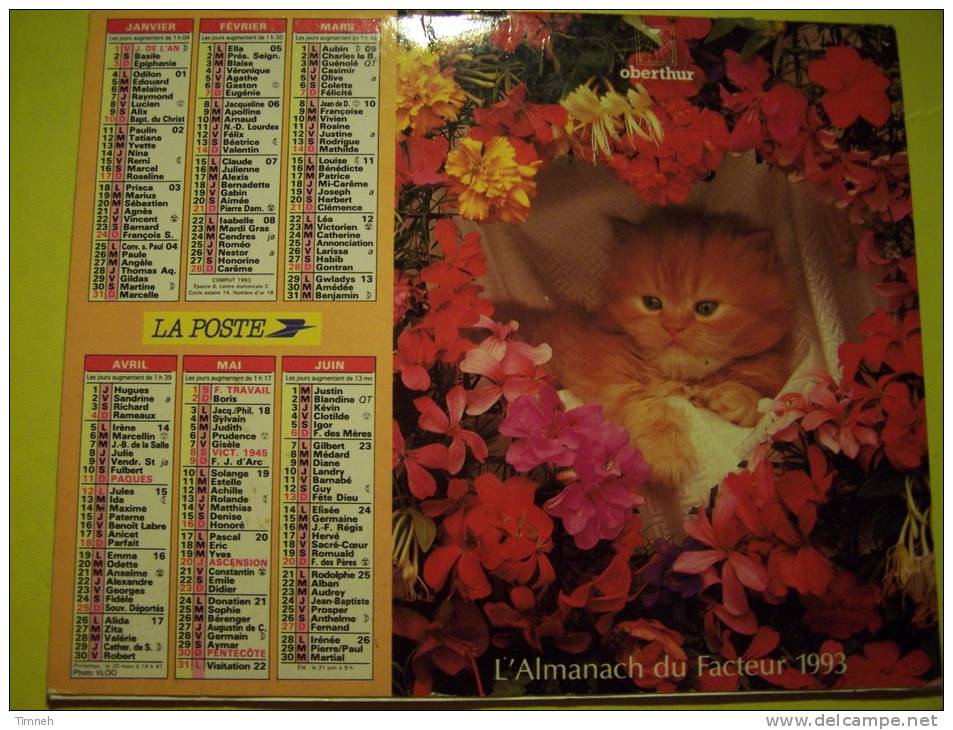 Almanach Du Facteur 1993 Chat Chaton Fleurs Chiens Ballons- MEURTHE ET MOSELLE  N°54  OBERTHUR  - LA POSTE - Tamaño Grande : 1991-00