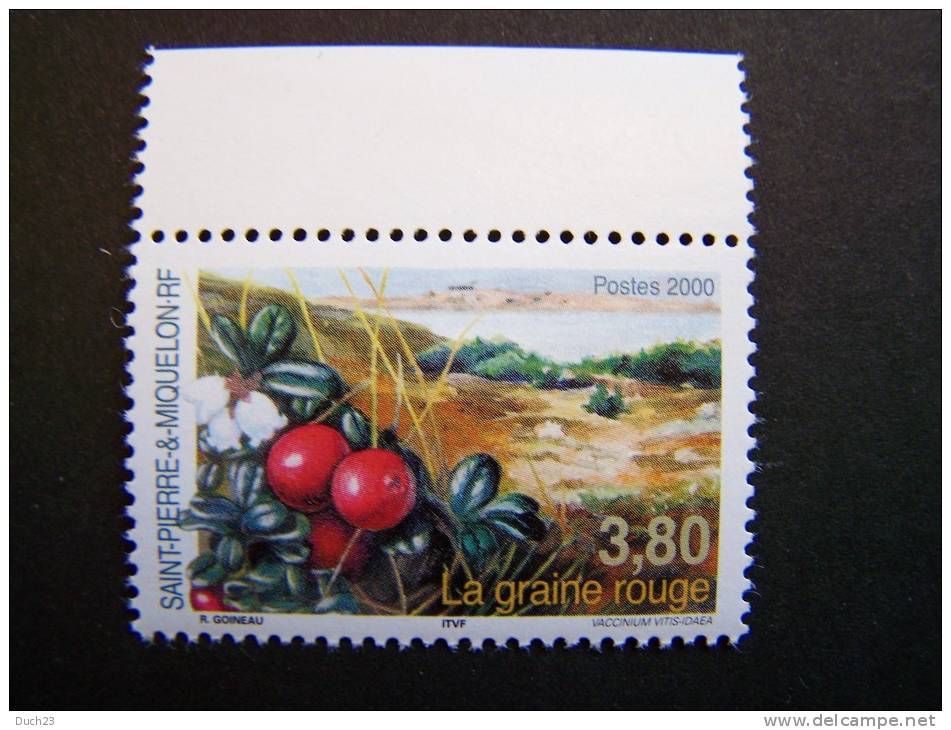 SAINT ST PIERRE ET MIQUELON NEUF** SANS CHARNIERE 2000 N°710  LA GRAINE ROUGE FLORE FLEUR - Unused Stamps