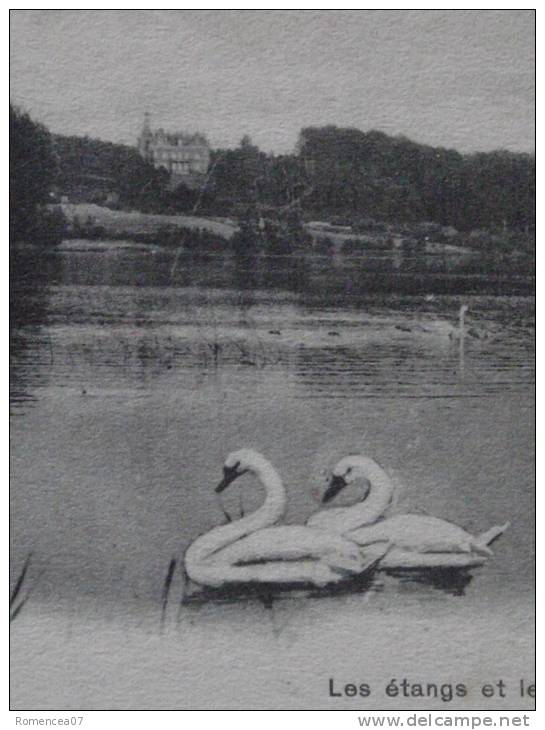 La HULPE (Brabant Wallon, Belgique) - Les Etangs Et Le Château Orban - Les Cygnes - Non Voyagée - La Hulpe