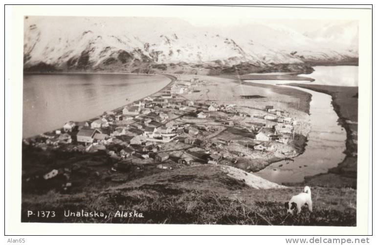 Unalaska AK Alaska, Aerial View Of Town, Dog, C1940s/50s Vintage Real Photo Postcard - Other & Unclassified