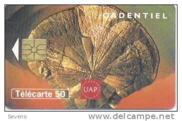 En1519   UAP: Cadentiel  Used, 1996 - 50 Einheiten