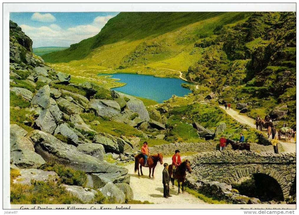 CPM          IRLANDE     GAP OF DUNLOE   1981          NEAR KILLARNEY      GROUPE AVEC CHEVAUX - Kerry