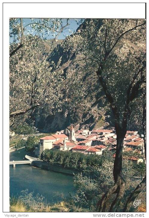 CP, 06, Breil-sur-Roya, Comté De Nice, Vue Générale Et Le Lac à Travers Les Oliviers, écrite - Breil-sur-Roya