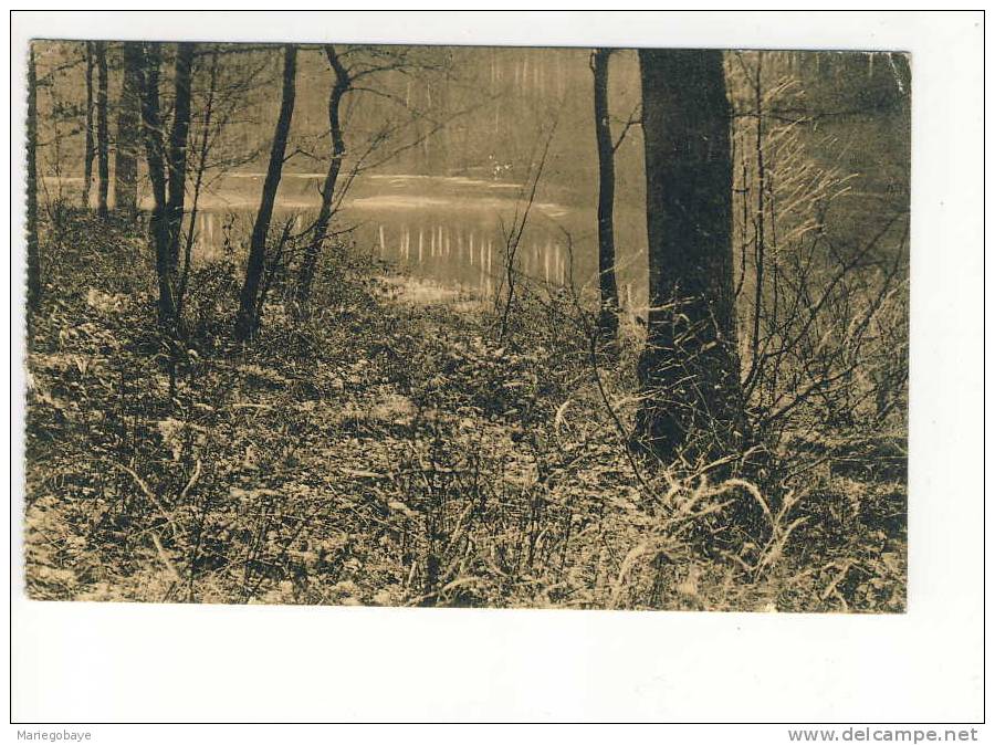 1911 Forêt De Soignes Auderghem Boitsfort Etang Des Enfants Noyés - Oudergem - Auderghem