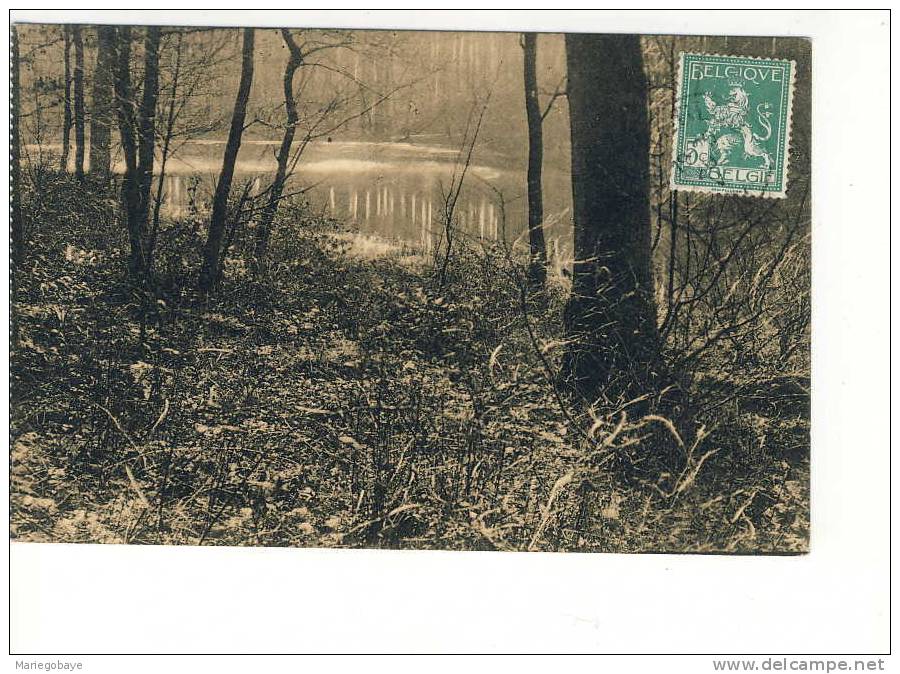 1914 Forêt De Soignes Auderghem Boitsfort Etang Des Enfants Noyés - Oudergem - Auderghem