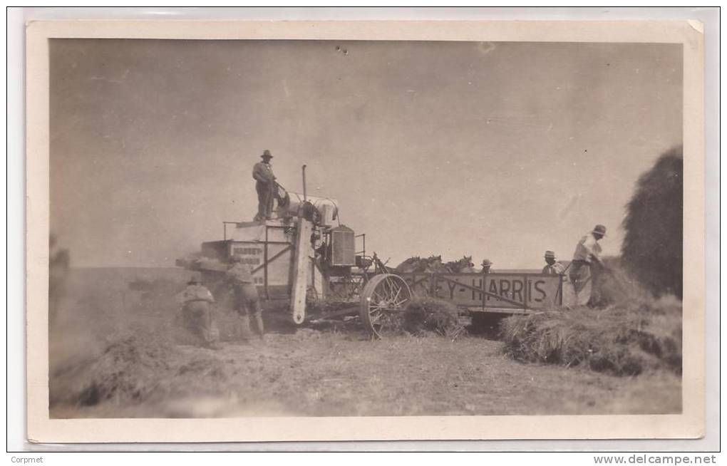 HARVEST MACHINE In The Harvest Process- REAL PHOTO Of MASSEY-HARRIS Machine - C/ 1910´s - People And Kids - NO POSTCARD - Tracteurs